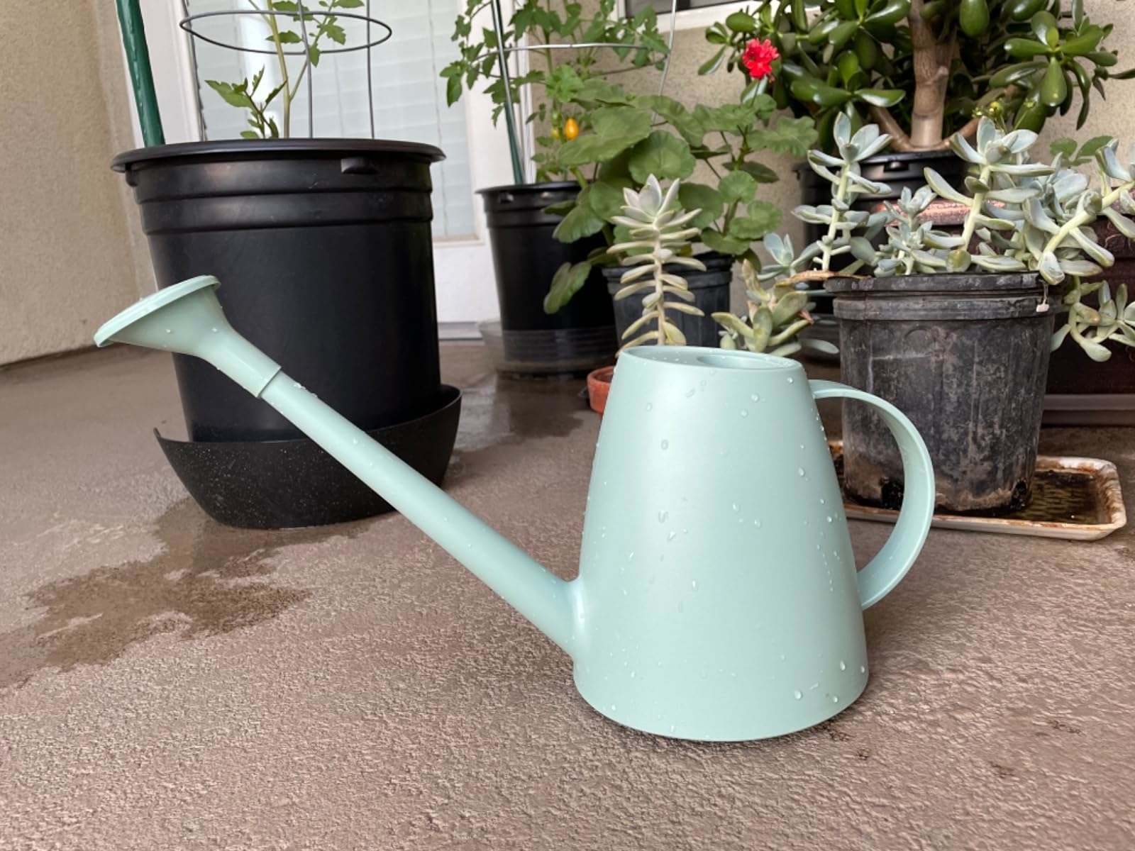 A light green watering can on a concrete surface near various potted plants