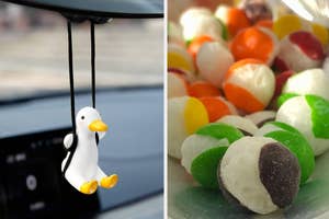duck hanging from swing in car and freeze dried sour skittles