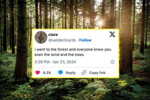 Tweet by user "clare" with a forest background, saying "i went to the forest and everyone knew you, even the wind and the trees."