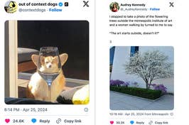 Left: A small dog sits behind a glass, appearing to have a large head. Right: A blossoming tree and a quote about art starting outside