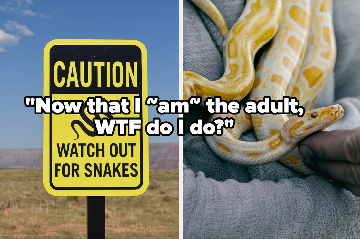 Now That We're 'Adults', Apparently This Is How You Deal With A Snake Encounter