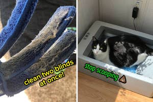 a reviewer's blinds cleaner "clean two blinds at once" / a reviewer's cat in an automatic litter box "stop scooping poop"