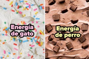 Imagen dividida en dos partes con texto; izquierda dice "Energía de gato" sobre helado de vainilla, derecha dice "Energía de perro" sobre helado de chocolate