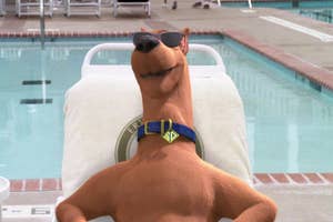 Animated character, Scooby-Doo, wearing sunglasses and reclining on a pool chair