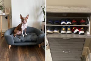 Two images: Left shows a dog sitting on a cushioned pet sofa. Right displays a shoe organizer with various sneakers