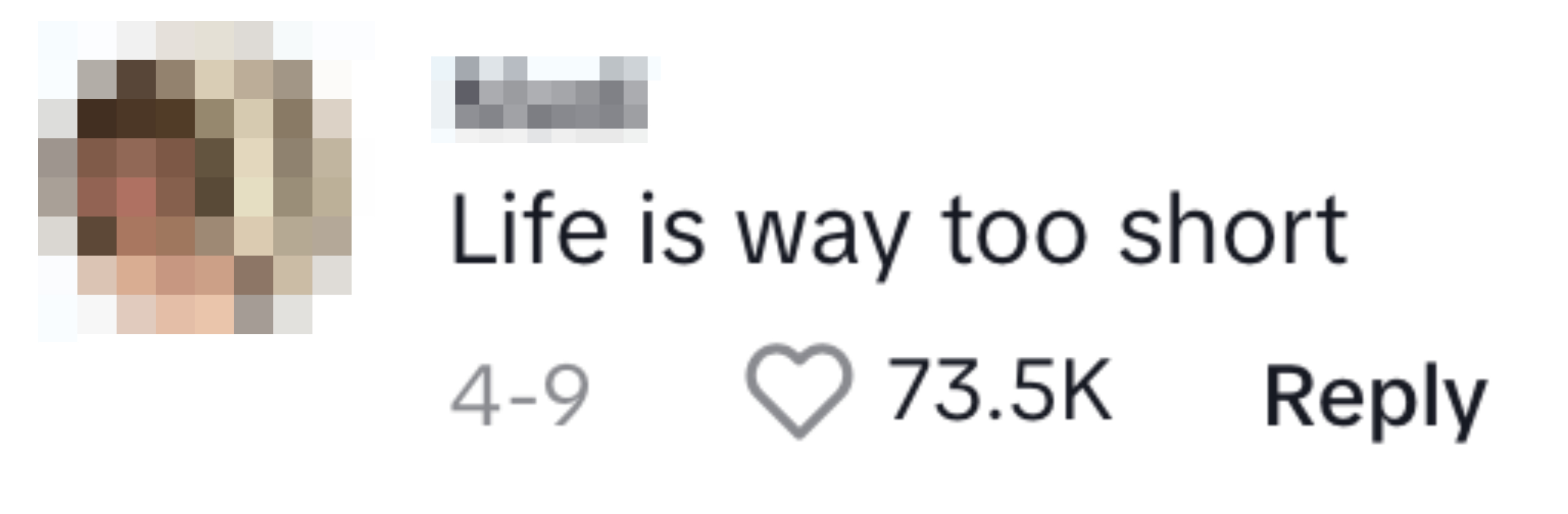 Social media screenshot of a blurred user&#x27;s profile with the text &quot;Life is way too short&quot; with 73.5k likes