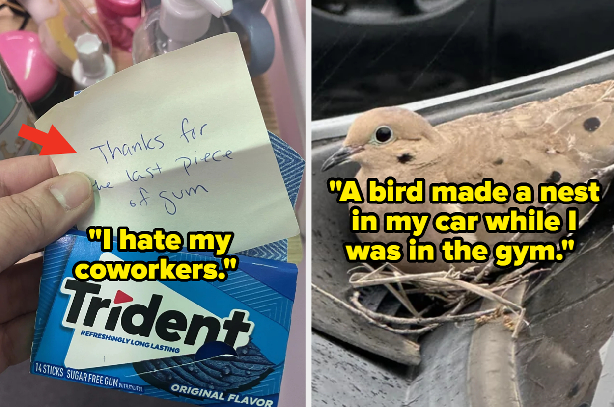 If You've Had A Crappy Month, These 44 Reddit Posts From April Might Just Make It All Worthwhile
