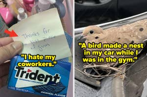 Split image: Left shows a note on Trident gum thanking for the last piece; Right depicts a bird nesting in a car door