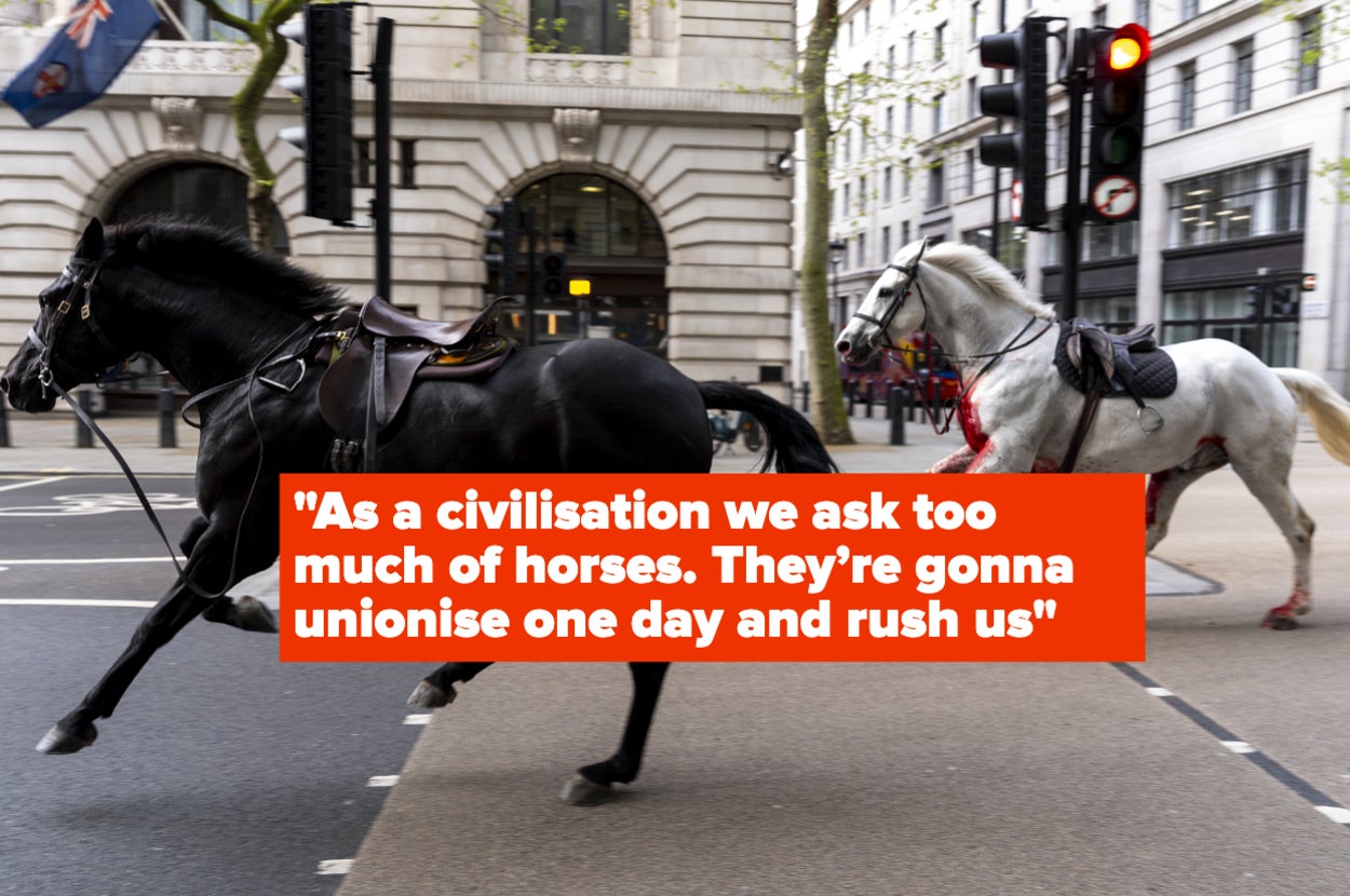 Text on image: "As a civilisation we ask too much of horses. They're gonna unionise one day and rush us." Background shows a horse on a city street