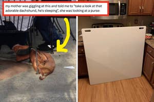 Two-panel image: Left shows a purse resembling a sleeping dachshund; right shows a whiteboard with a humorous text about the purse incident
