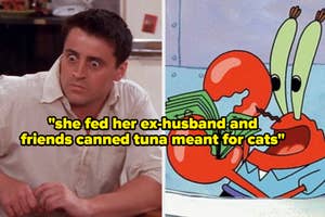 Man looking puzzled at camera, split screen with cartoon of character holding a can of tuna. Text overlay relates to feeding canned tuna