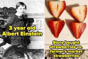 Left: Young Albert Einstein. Right: Two halves of a strawberry, juxtaposed to show difference