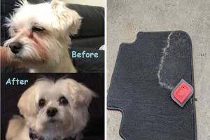 Comparison of dog before and after grooming, and a pet hair remover tool on a carpet with collected fur