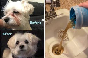A small dog before and after grooming; a product being poured into a sink for unclogging