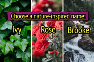 Collage of nature images labeled Ivy, Rose, and Brooke, with text, "Choose a nature-inspired name."