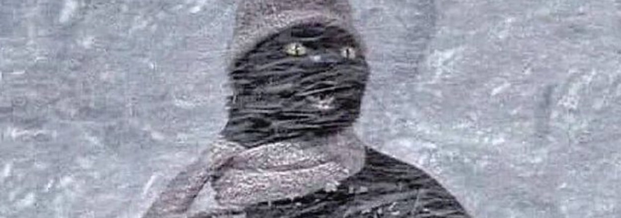 Salem from "Sabrina the Teenage Witch" in winter clothing braving a heavy snowstorm.
