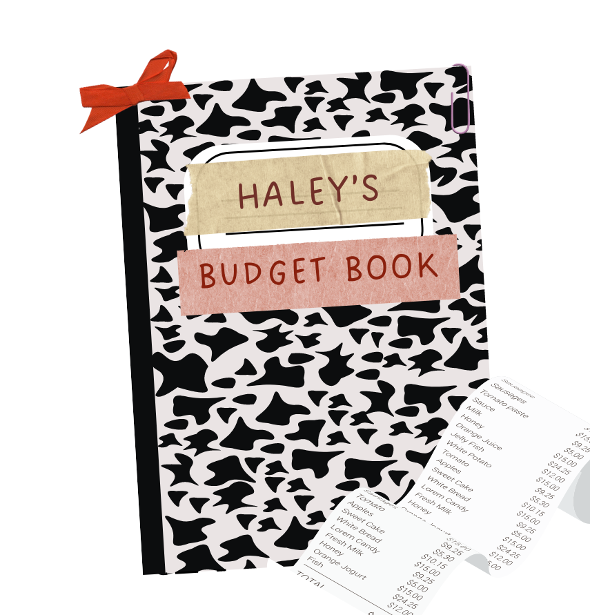 A patterned budget book titled &quot;HALEY&#x27;S BUDGET BOOK&quot; with pages showing detailed financial plans