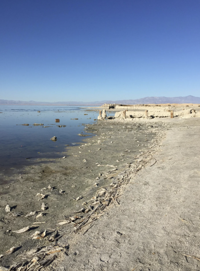 Deserted shore with abandoned building ruins and scattered debris near calm water with distant mountains