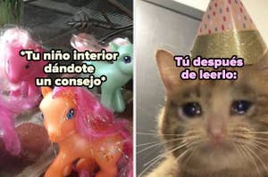 Meme con dos imágenes: un pony de juguete con texto motivacional y un gato con sombrero de fiesta, representando una reacción divertida