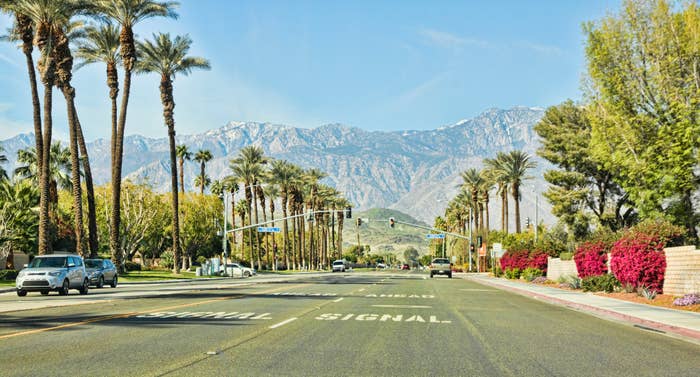 Palm-tree-lined street leading towards mountains under a clear sky