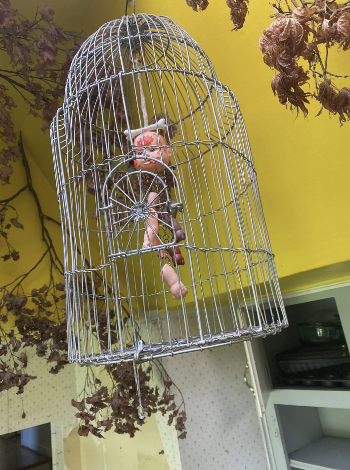 A stuffed toy is trapped inside a decorative birdcage hanging from a ceiling, with dried flowers around
