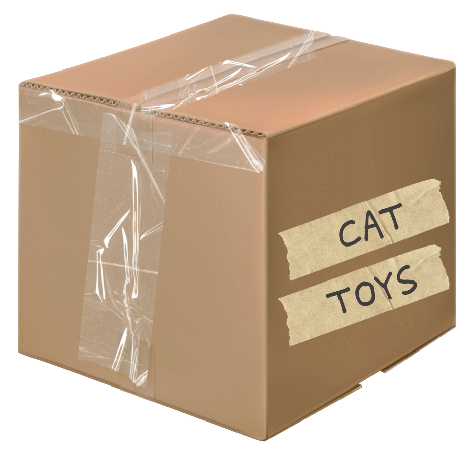 Cardboard box sealed with tape, labeled &#x27;CAT TOYS&#x27;