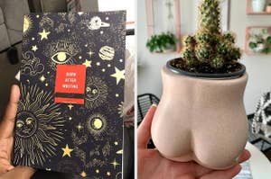 Left: A "burn after writing" journal with celestial designs. Right: A hand holding a potted cactus in a butt-shaped planter with indoor plants in the background