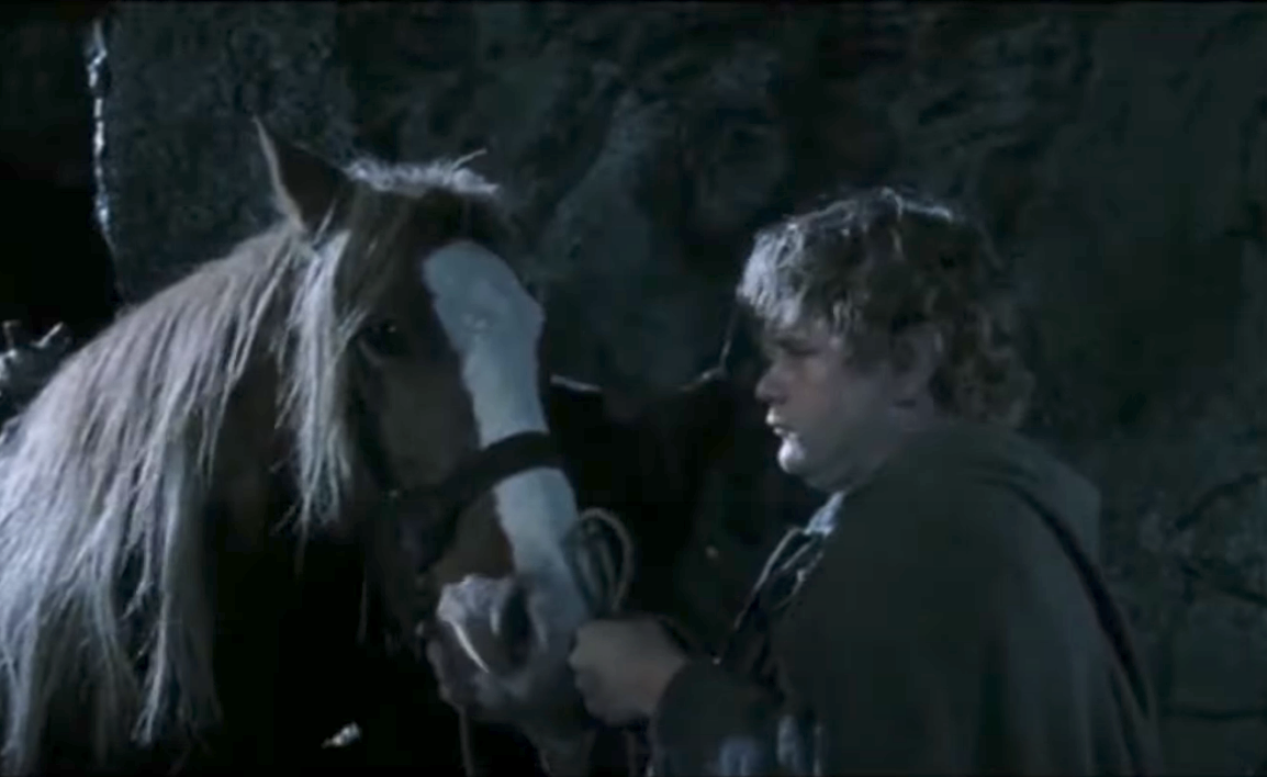 Samwise Gamgee calming Bill the pony in a cave from &quot;The Lord of the Rings.&quot;