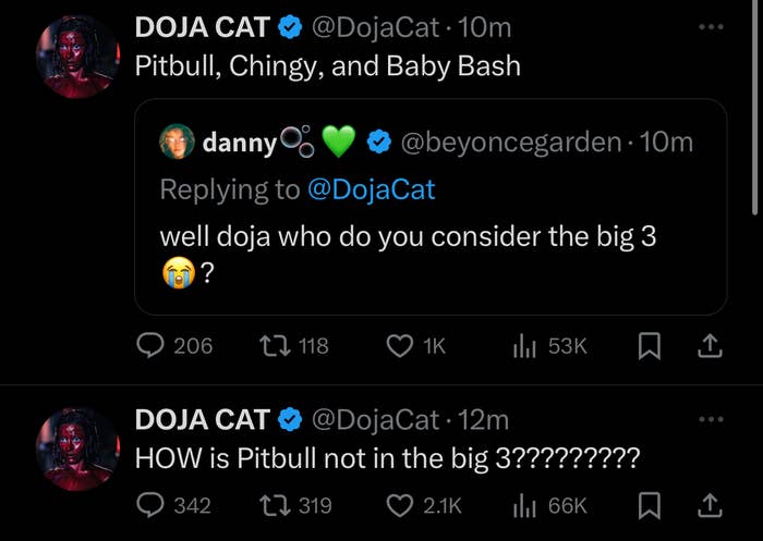 Doja Cat tweets in disbelief about Pitbull not being considered in the big 3 of music