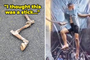 Comparative image of a large stick resembling a bone, and a person humorously pretending it's a weapon
