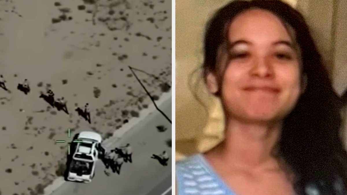 15-Year-Old Girl Abducted by Father Fatally Shot by Police During Shootout in California