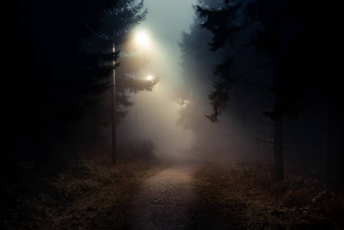 Misty forest path with streetlights illuminating the way through the trees