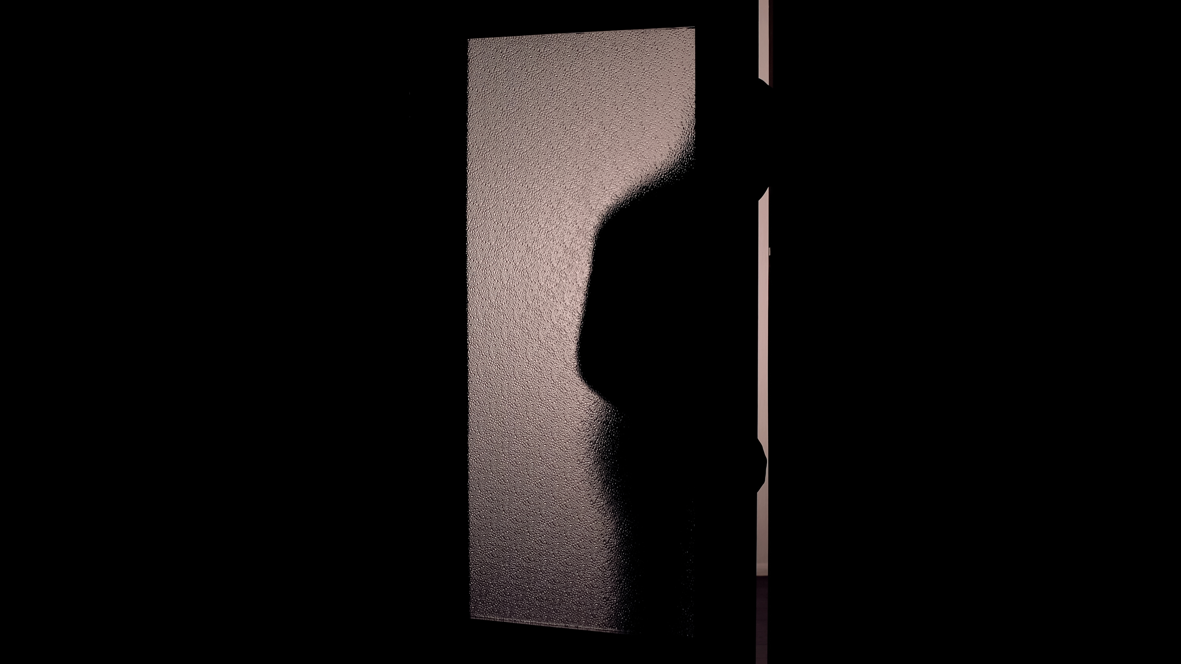 Silhouette of a person&#x27;s profile cast on a frosted glass door, suggesting mystery or suspense
