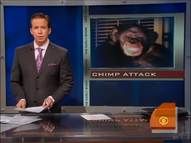 Newscaster at desk with a graphic of a chimpanzee titled &quot;CHIMP ATTACK&quot; on screen