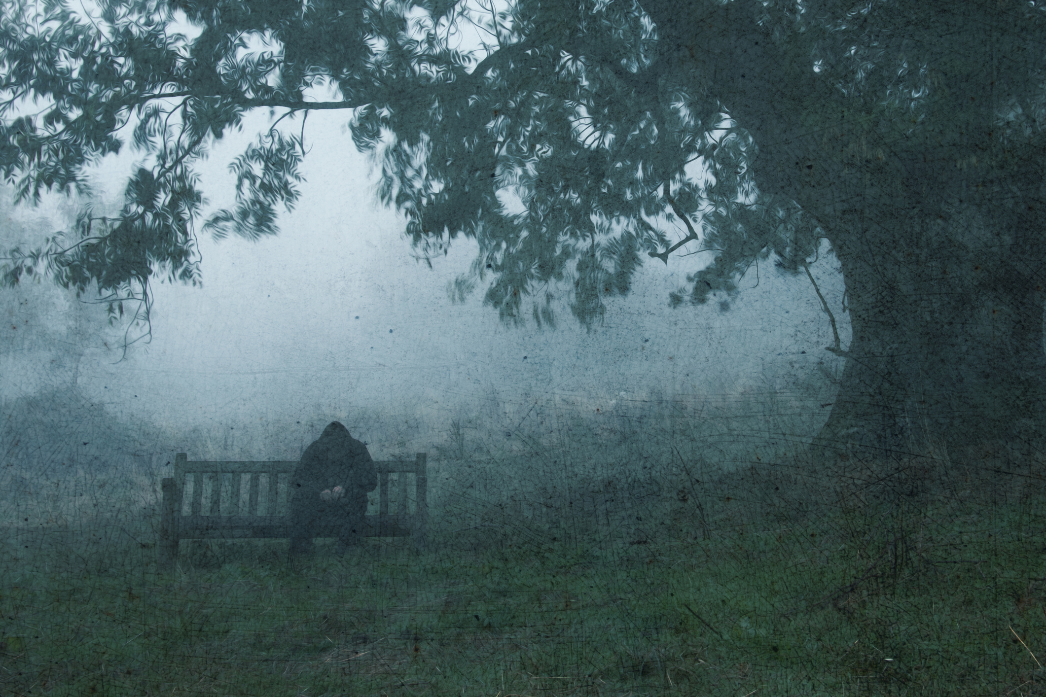 Person sitting alone on a bench under a tree in foggy weather