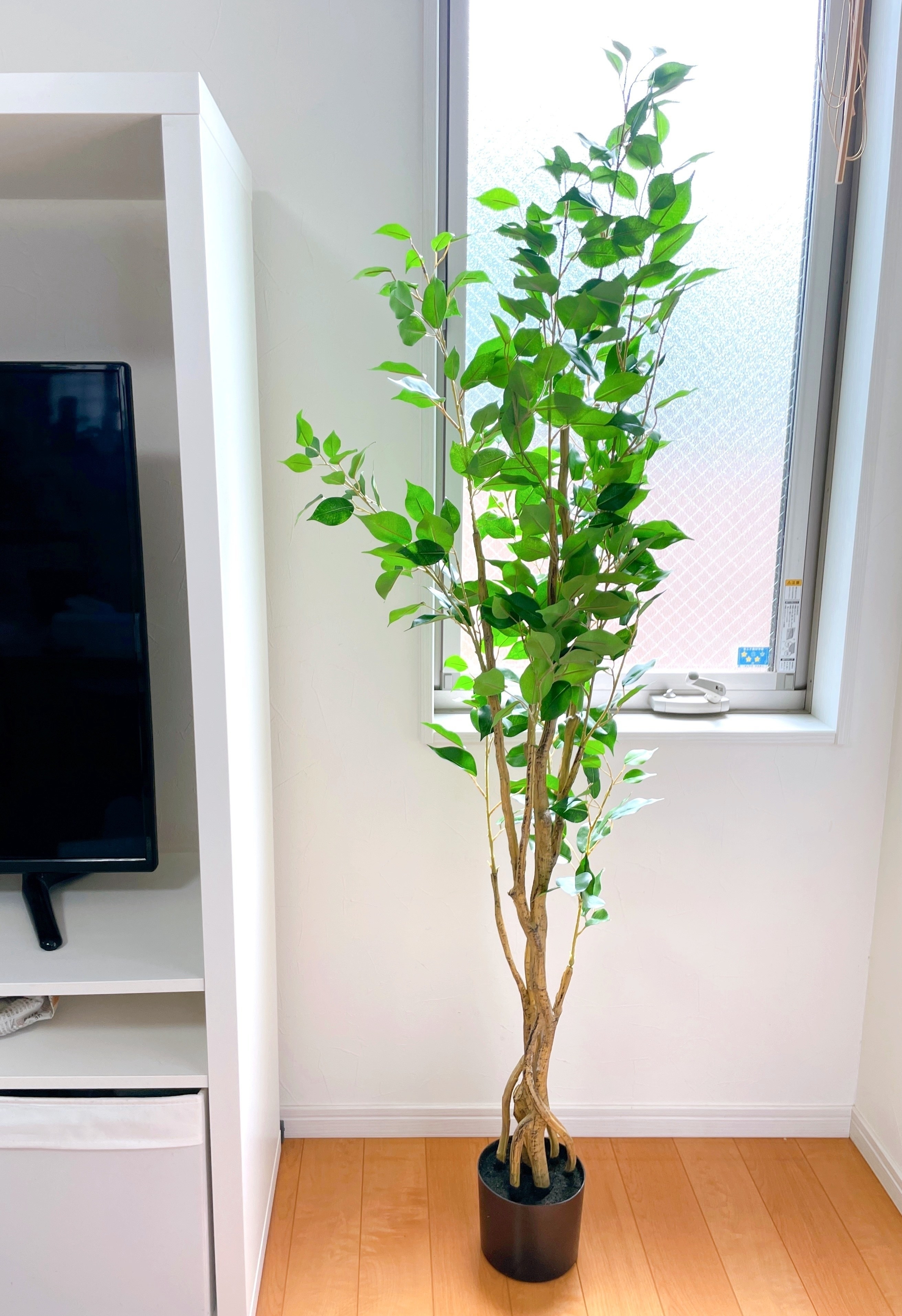 ニトリのおすすめ観葉植物「フェイクグリーン フィカス150cm（OS605-5-352）」