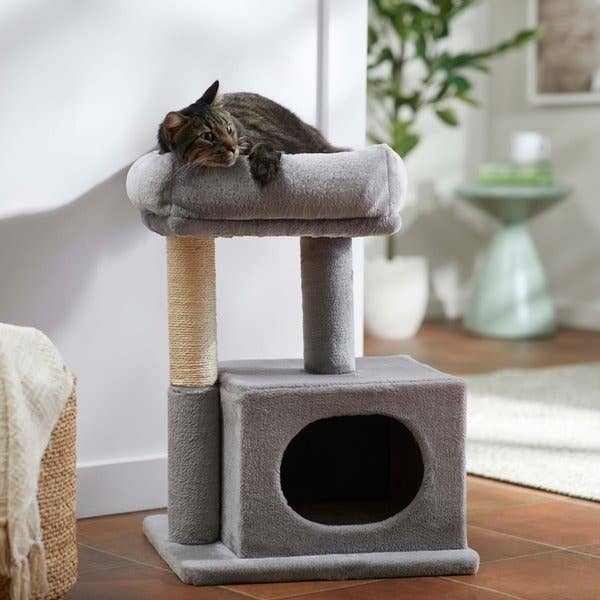 Cat lounging on a small two-tier gray cat tree with a scratching post and cubby