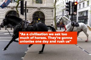 Text on image: "As a civilisation we ask too much of horses. They're gonna unionise one day and rush us." Background shows a horse on a city street