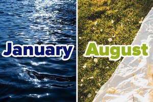 Split image contrasting seasons with "January" over a wintry water scene and "August" over a sunny grassy area