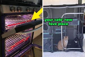 a reviewer's oven with pads on the edges of the rack / a reviewer's cats in a screened catio "your cats' new fave place"