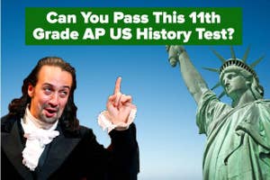 Man gesturing with text "Can You Pass This 11th Grade AP US History Test?" and Statue of Liberty