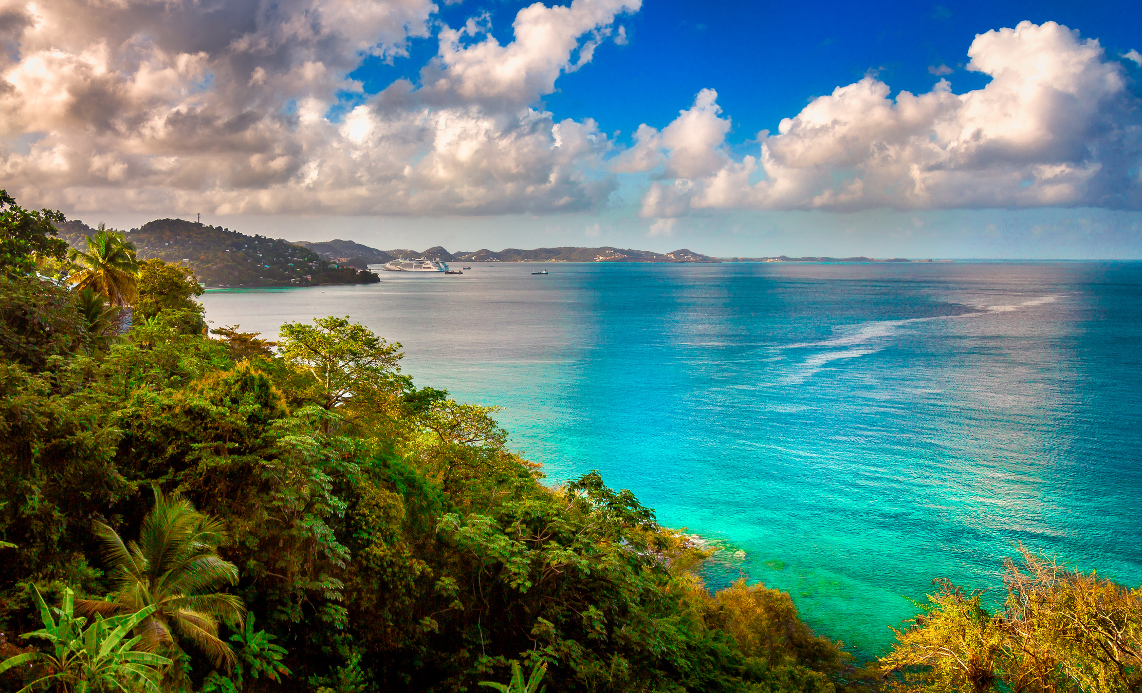 Seascape view with lush foliage in the foreground overlooking a calm ocean with distant hills