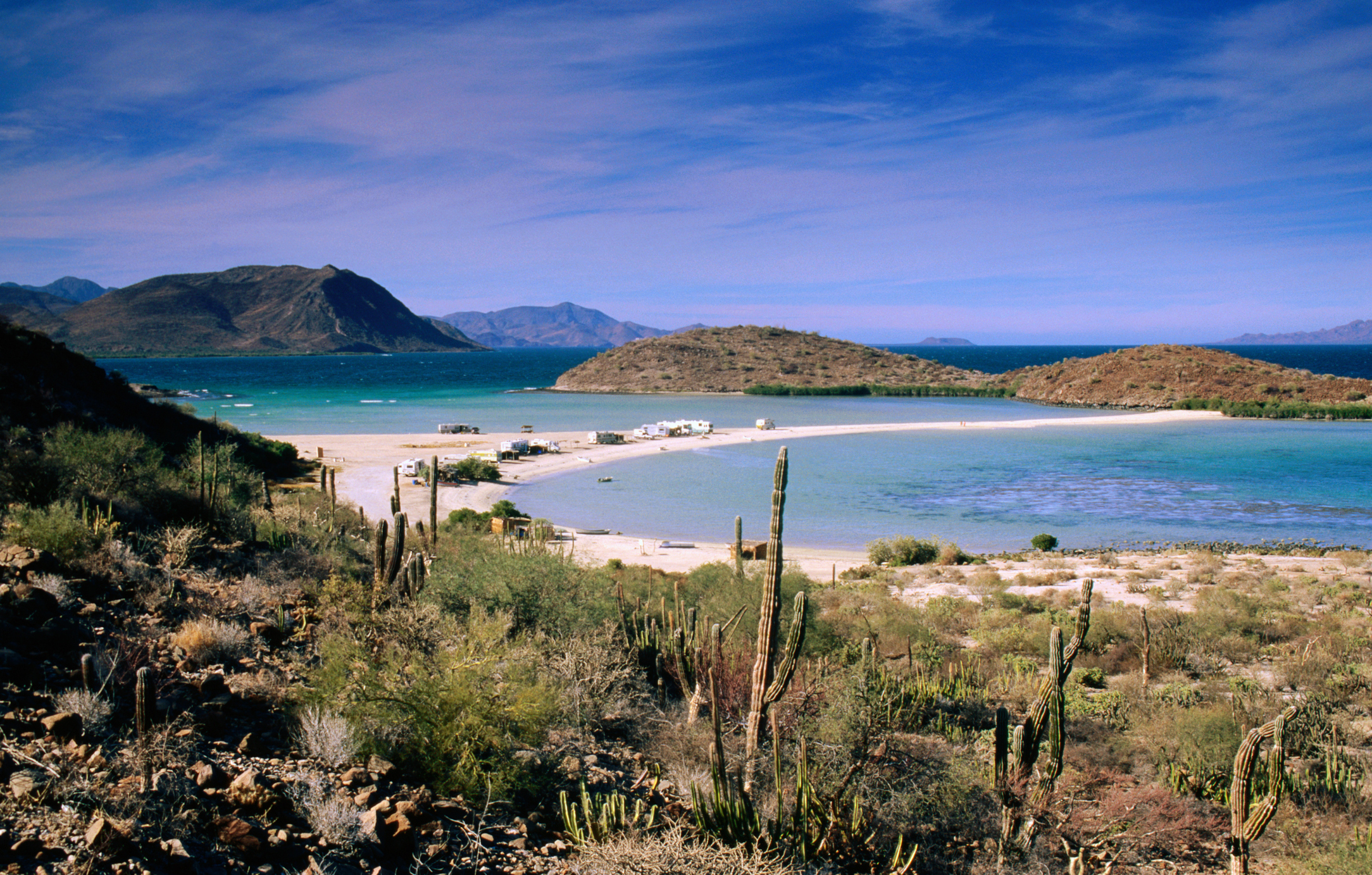 Scenic view of a coastal landscape with cacti in the foreground and a beach with boats in the distance