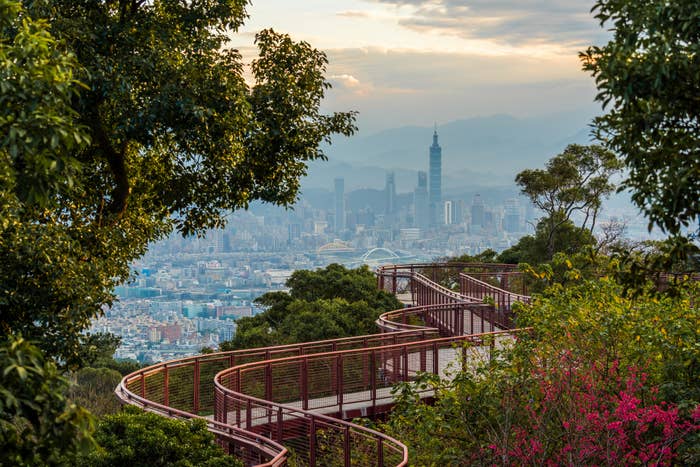 Elevated walkway with flowering shrubs overlooking a city skyline at dusk