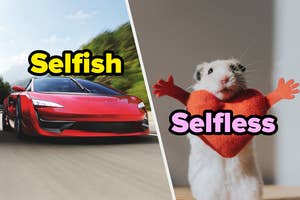 Graphic split in two; left side shows a sports car with the word "Selfish," right side shows a hamster holding a heart with "Selfless."