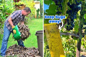 person using leaf scoops to dispose of pile of leaves / reviewer's yellow sticky trap catching bugs in garden
