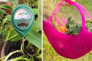 A soil moisture meter in a plant pot. / Vegetables inside a pink colander basket that is being rinsed