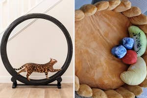 A cat exercises on a wheel beside a plush bed resembling fruit slices