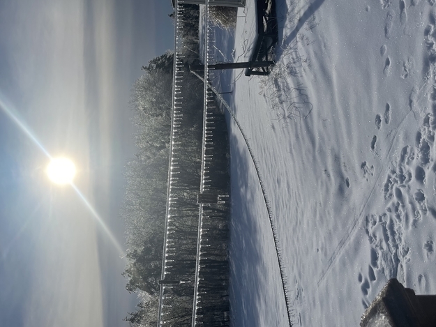Sun shining over a snow-covered landscape with a wooden fence and trees