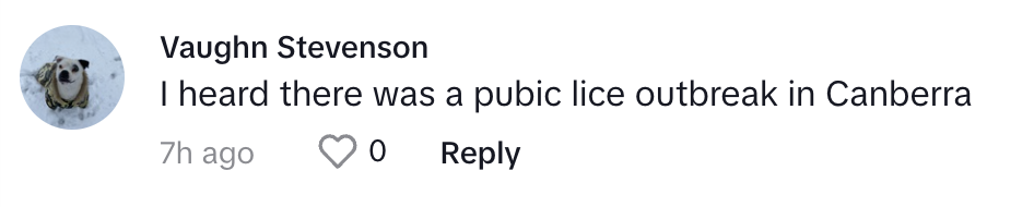 Social media comment by Vaughn Stevenson about a lice outbreak in Canberra